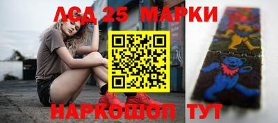 шишки Владикавказ
