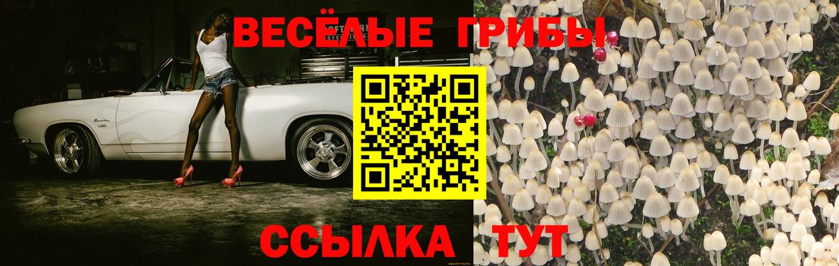 Богородск  Псилоцибиновые грибы Cubensis  Галлюциногенные грибы Psilocybine cubensis  Вход с VPN 